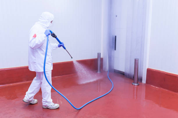 Boat and Dock Cleaning in Emerald Bay, TX